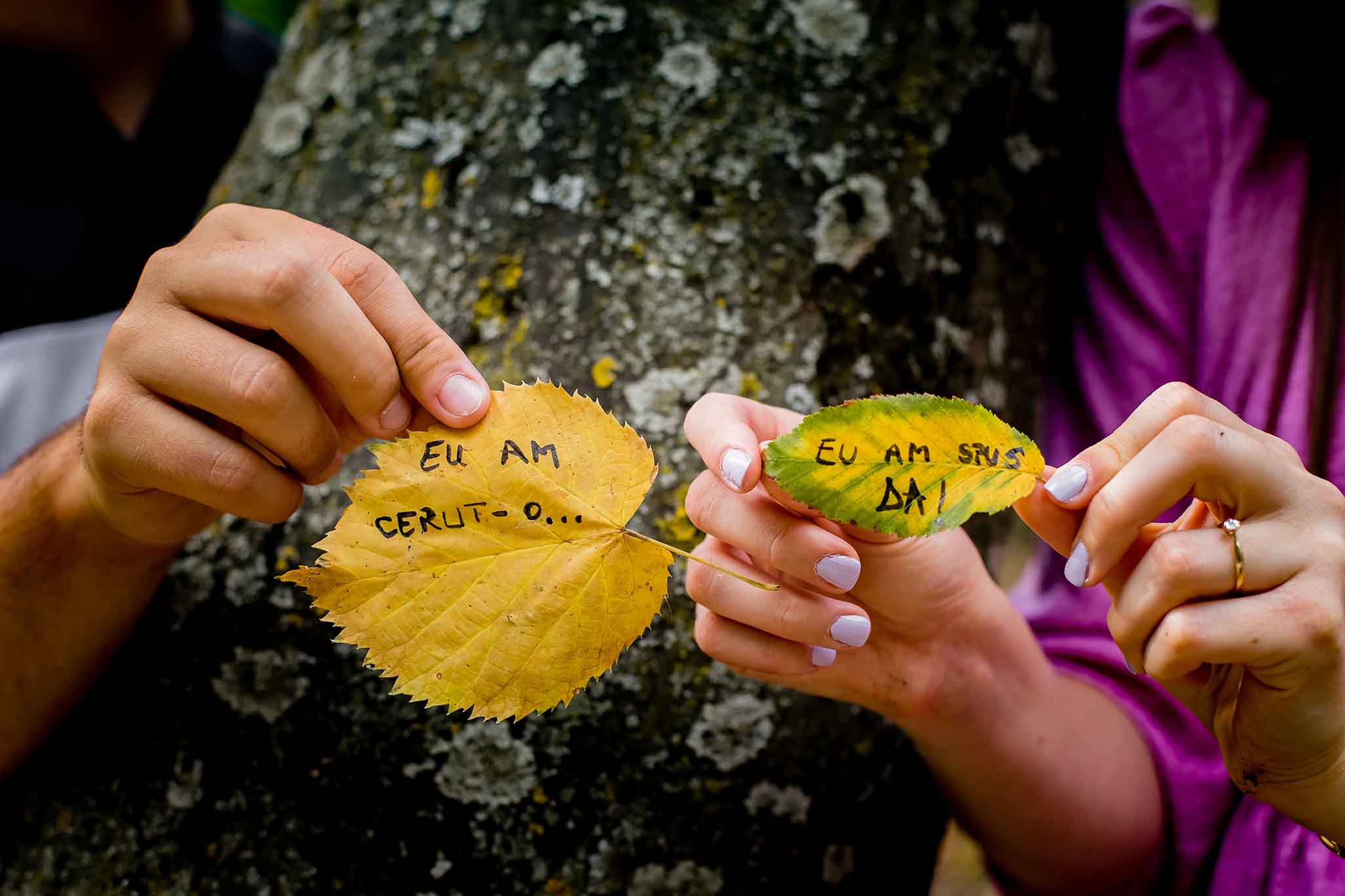 fotograf nunta, fotograf nunta Bucuresti